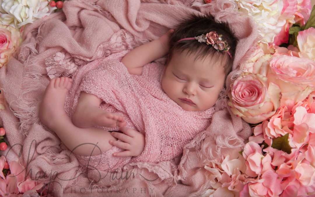 Baltimore Newborn Baby Photographer