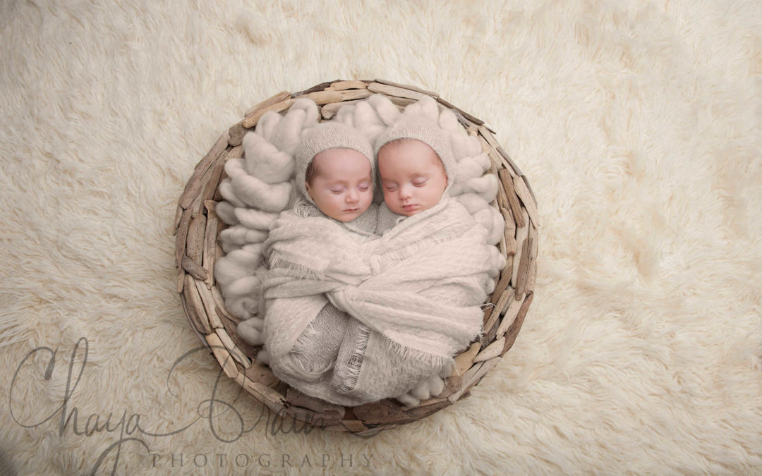 Twin Newborn Babies