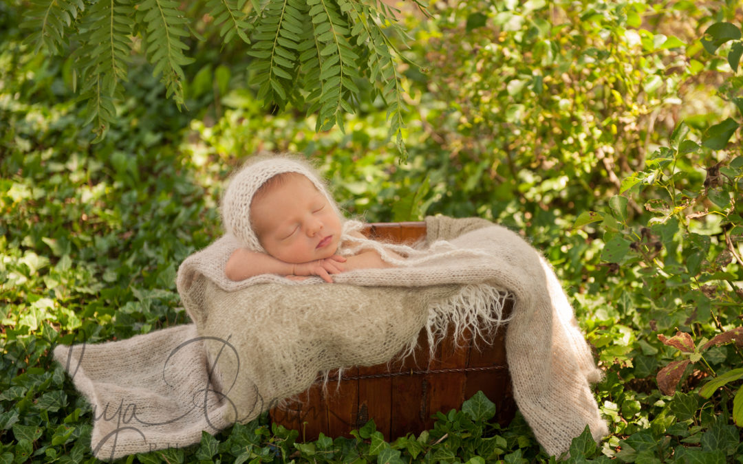 Indoor & Outdoor Newborn Session