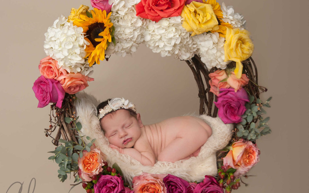 Newborn Baby Girl Photographs