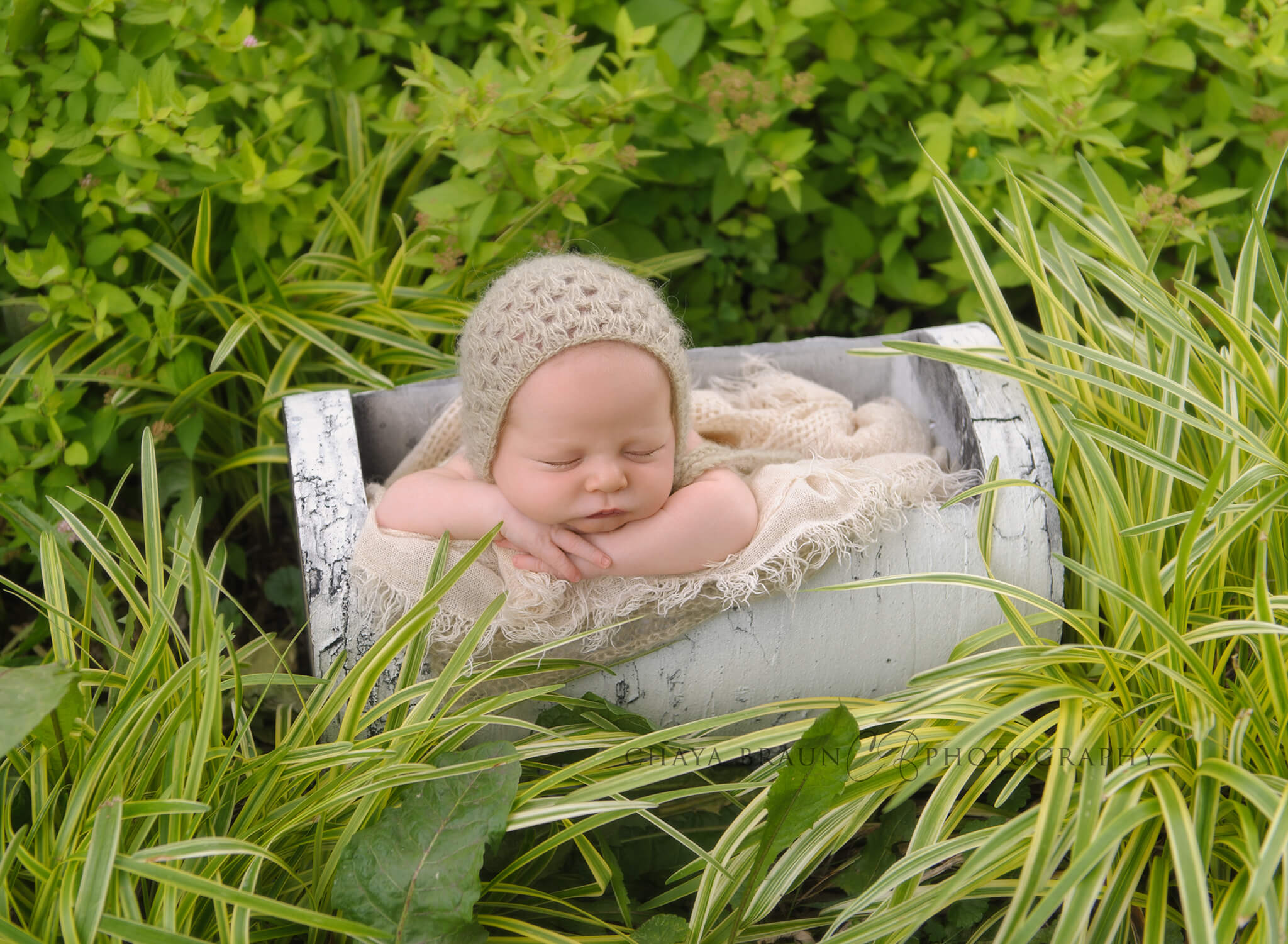 newborn baby outdoors