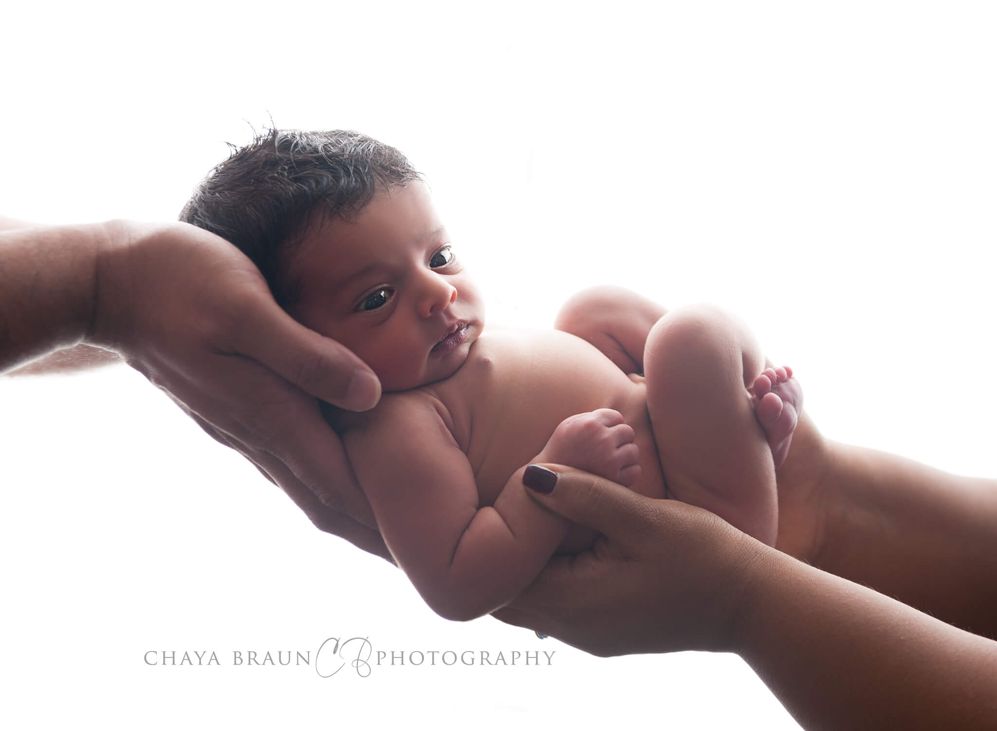 newborn photographer in Baltimore, Maryland