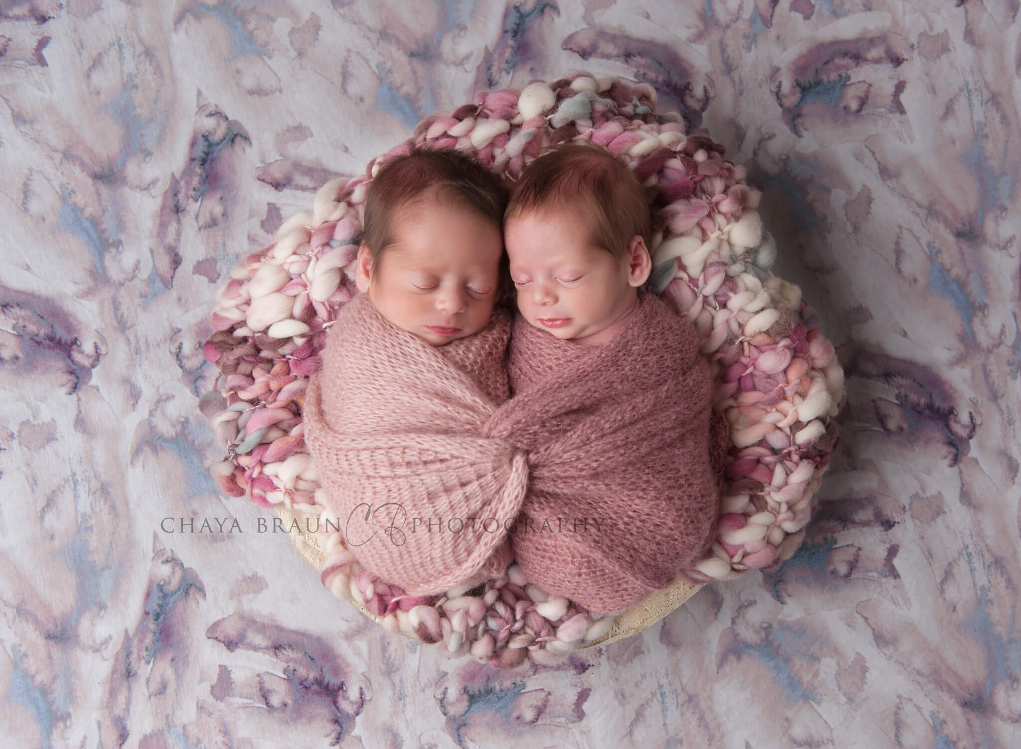 twin babies photographer in Baltimore