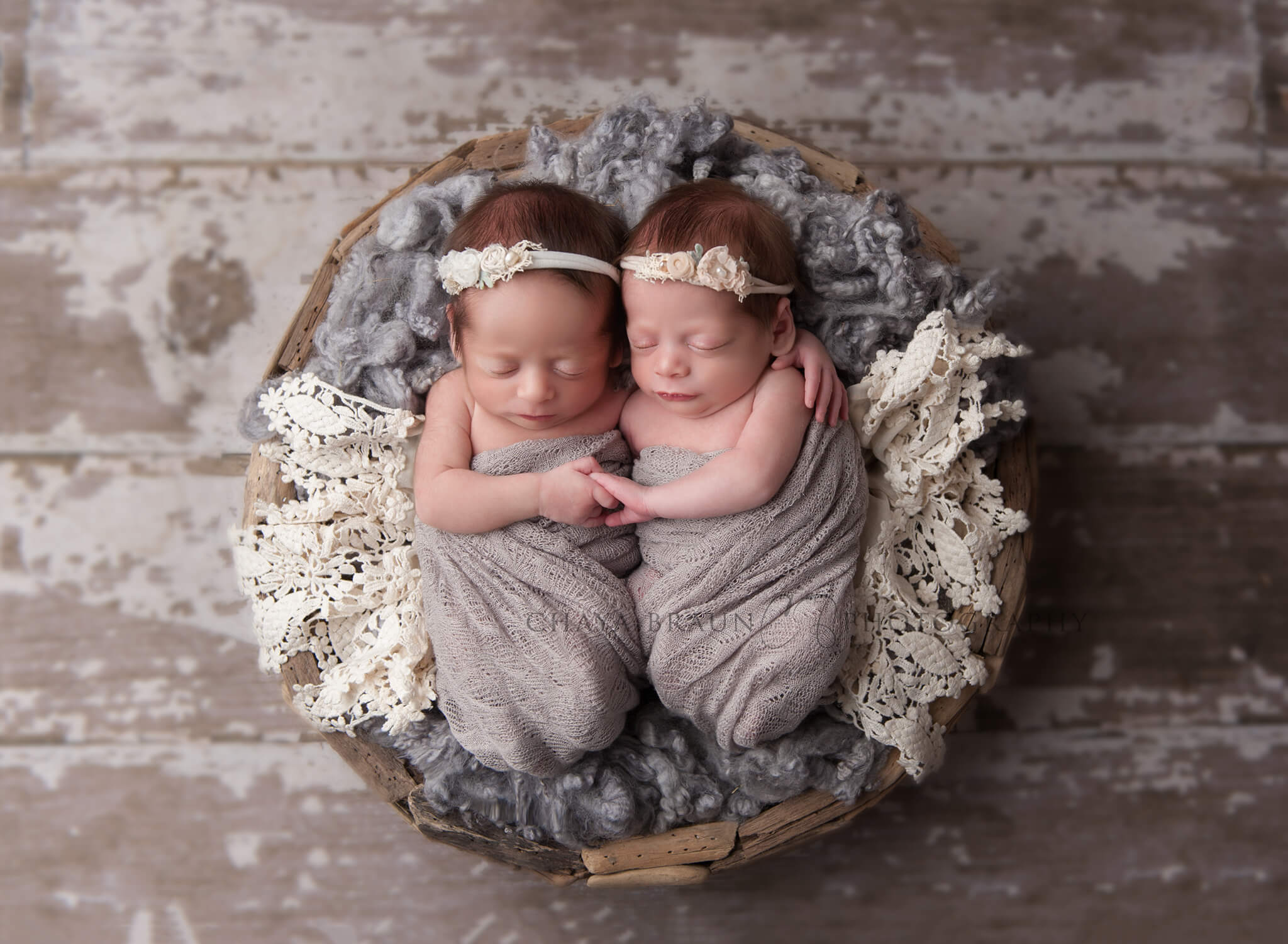 newborn baby twins photographer in Baltimore