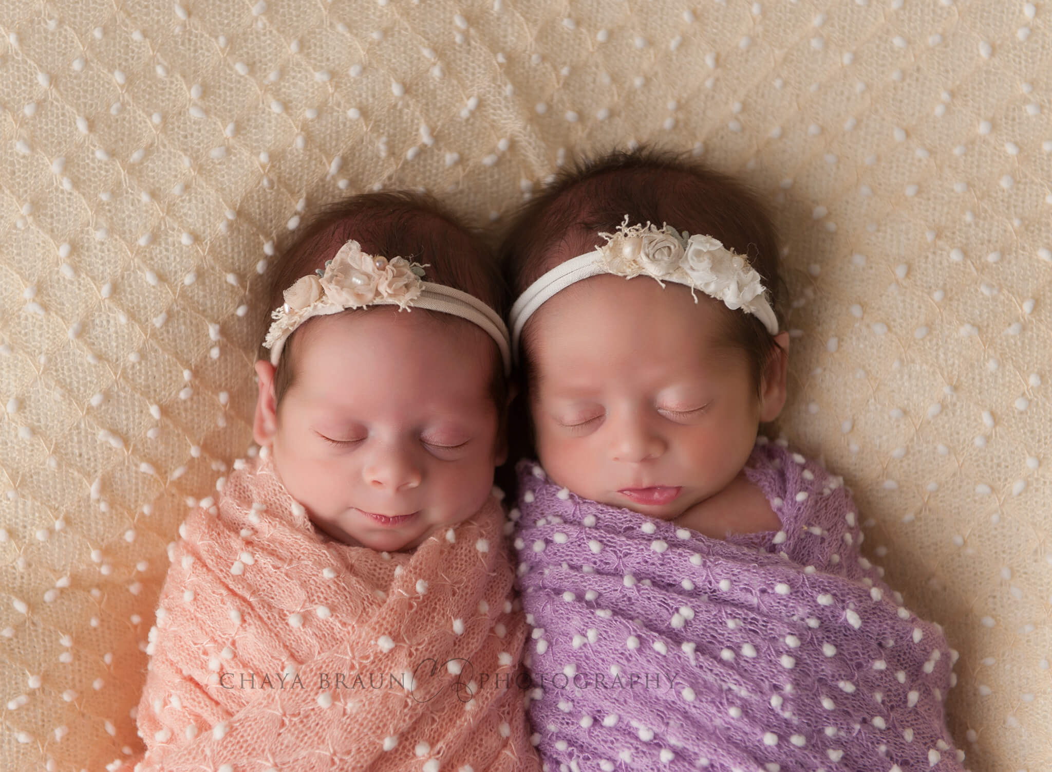 twins newborn photographer Baltimore