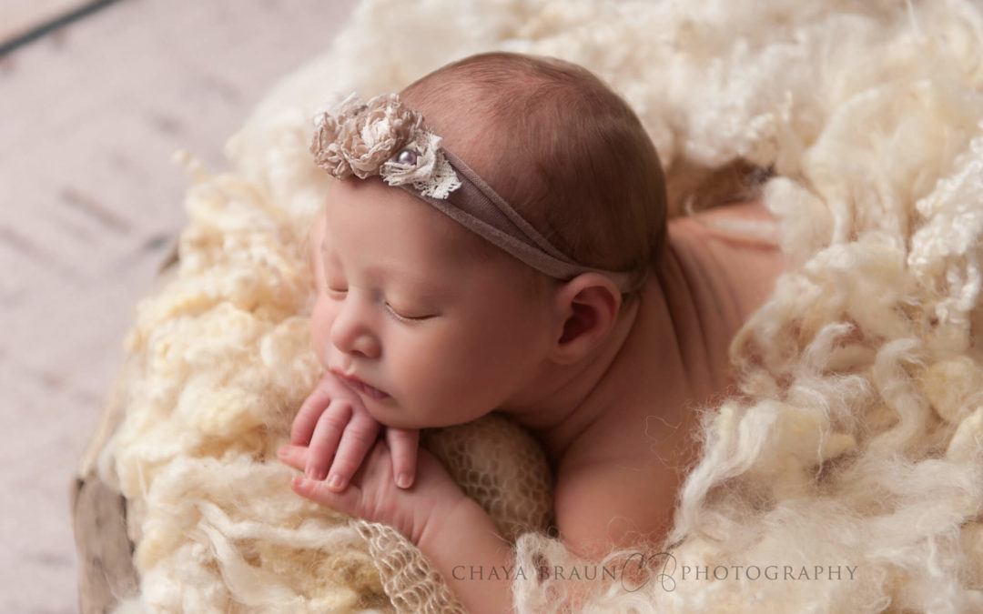 Newborn Photographer Baltimore