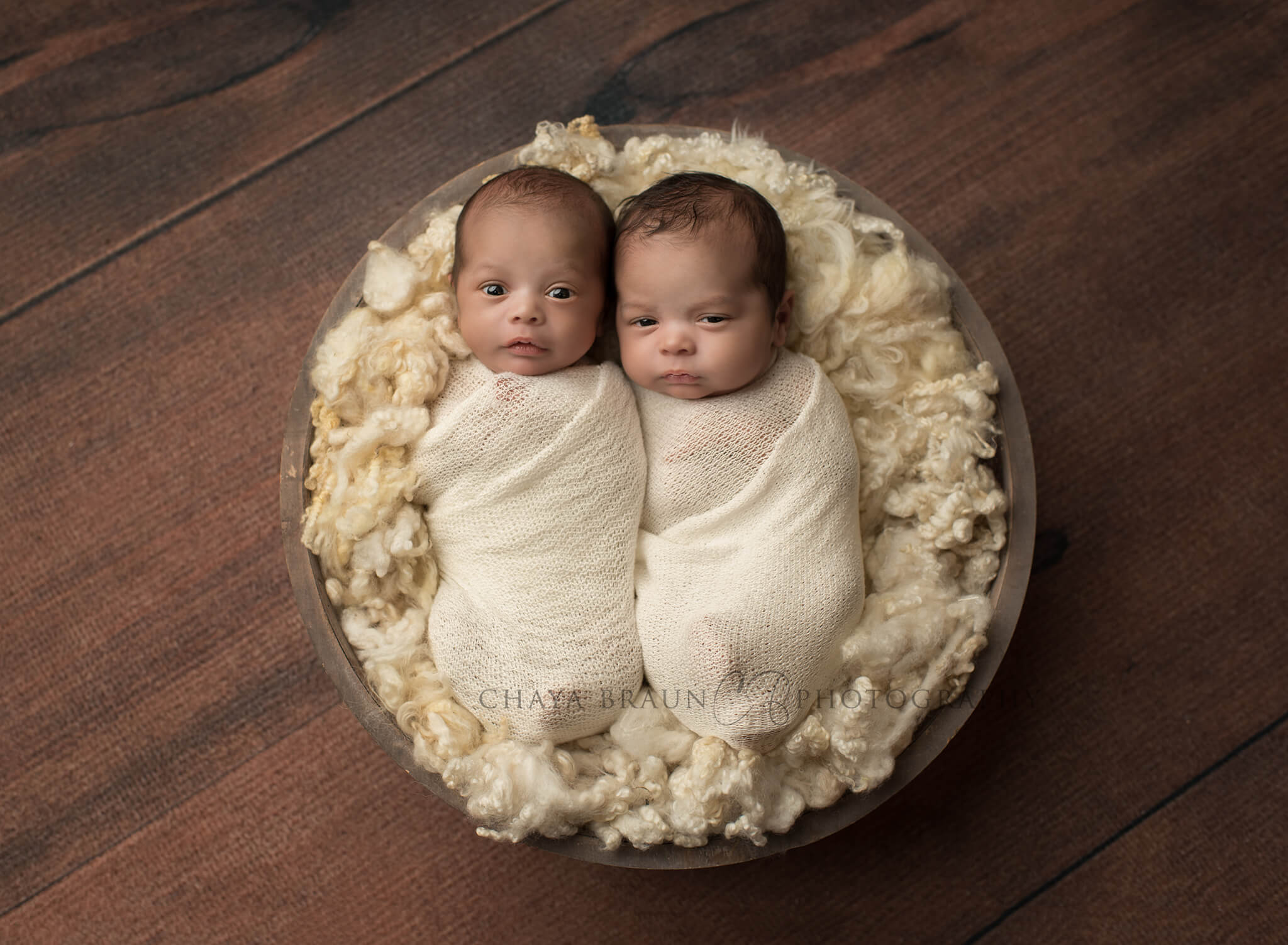 newborn twins in a basket