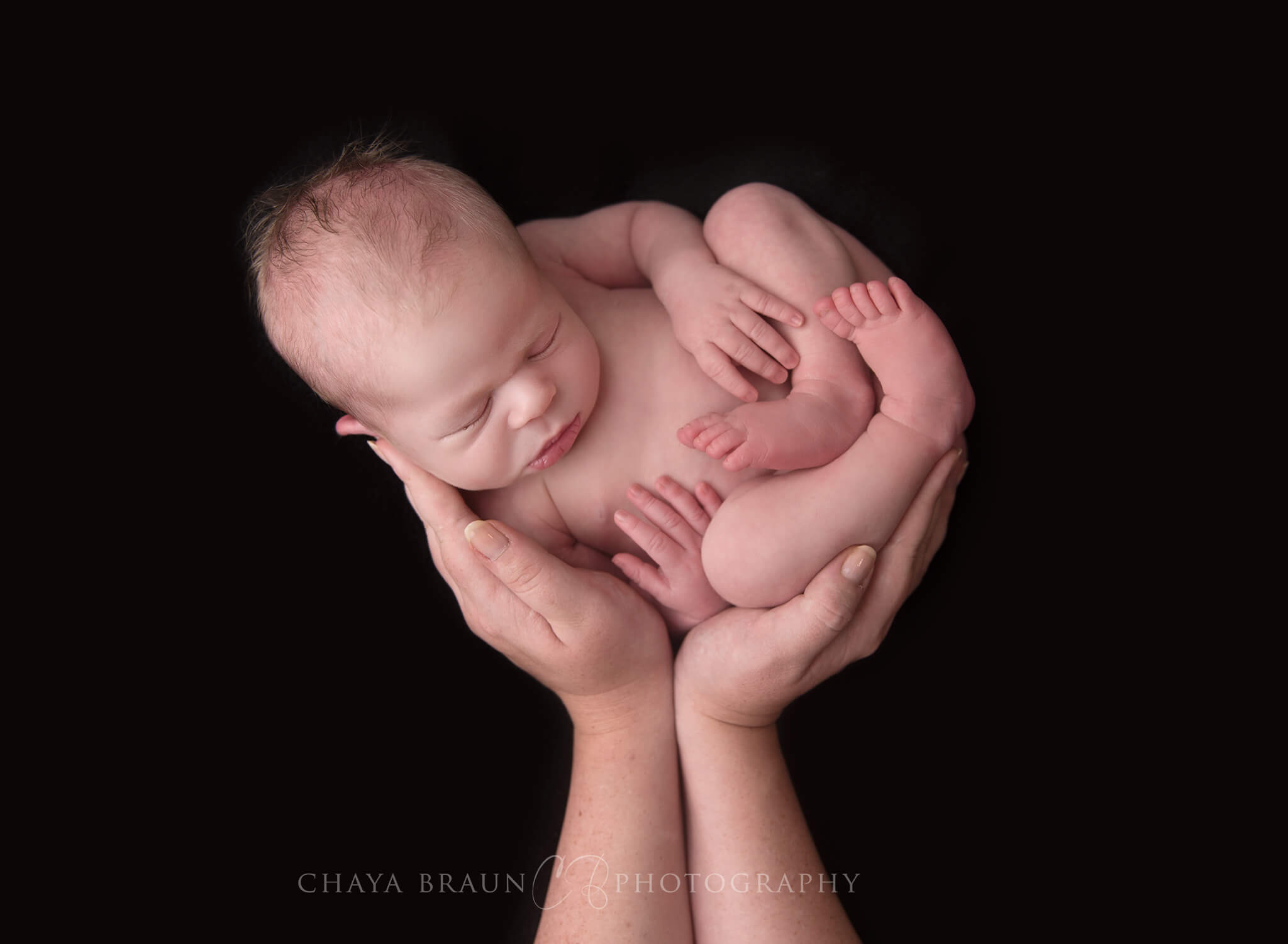 baby photographer in Maryland